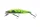 Daiwa Tournament Wise Minnow 70FS
chart back zebra 7.0cm 7.5g