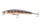 Daiwa Tournament Minnow 95SP
aurora zebra 9.5cm 9.5g