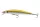 Daiwa Tournament Minnow 95SP
golden shiner 9.5cm 9.5g