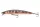 Daiwa Tournament Minnow 120SP
pearl ghost perch 12.0cm 14.5g twitchbait
