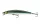 Daiwa Tournament Minnow 120SP
kibinago 12.0cm 14.5g twitchbait