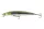 Daiwa Tournament Minnow 120SP
ayu 12.0cm 14.5g twitchbait