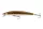 Daiwa Tournament Minnow 120SP
gold lense 12.0cm 14.5g twitchbait