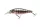 Daiwa Tournament Tightwave Shad
pearl ghost perch 75mm 9.0g 1db