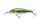 Daiwa Tournament Tightwave Shad
see through shad 75mm 9.0g 1db