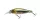 Daiwa Tournament Tightwave Shad
see through ayu 75mm 9.0g 1db