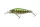 Daiwa Tournament Tightwave Shad
green ghost 75mm 9.0g 1db