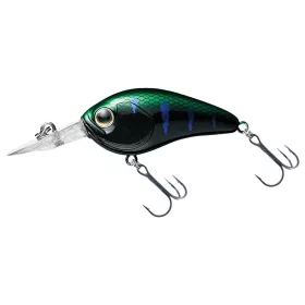 Daiwa Steez Crank 100F-SR
monster gill 5.4cm 10.1g