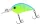 Daiwa Steez Crank 100F-SR
monster chart 5.4cm 10.1g