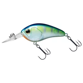 Daiwa Steez Crank 100F-SR
clear monster chart 5.4cm 10.1g