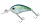 Daiwa Steez Crank 100F-SR
clear monster chart 5.4cm 10.1g
