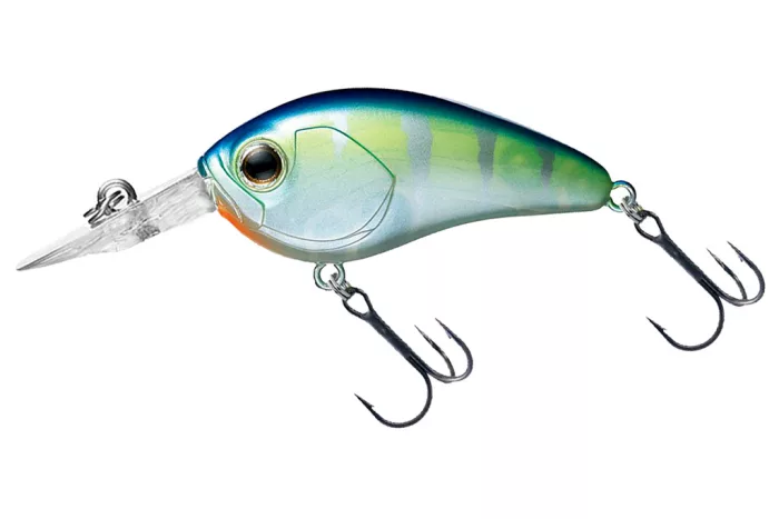 Daiwa Steez Crank 100F-SR
clear monster chart 5.4cm 10.1g