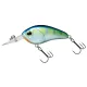 Daiwa Steez Crank 100F-SR
clear monster chart 5.4cm 10.1g