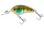 Daiwa Steez Crank 100F-SR
ghost gill 5.4cm 10.1g