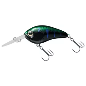 Daiwa Steez Crank 200F-MR
monster gill 5.4cm 10.6g