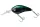 Daiwa Steez Crank 200F-MR
monster gill 5.4cm 10.6g