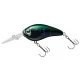 Daiwa Steez Crank 200F-MR
monster gill 5.4cm 10.6g