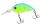 Daiwa Steez Crank 200F-MR
monster chart 5.4cm 10.6g