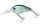 Daiwa Steez Crank 200F-MR
clear monster chart 5.4cm 10.6g