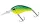 Daiwa Steez Crank 200F-MR
artistic chart 5.4cm 10.6g