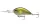 Daiwa Steez Crank 300F-DR
ayu 6.1cm 18.0g