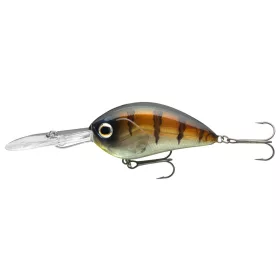 Daiwa Steez Crank 300F-DR
ghost baby gill 6.1cm 18.0g