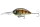 Daiwa Steez Crank 300F-DR
ghost baby gill 6.1cm 18.0g