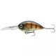 Daiwa Steez Crank 300F-DR
ghost baby gill 6.1cm 18.0g