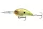 Daiwa Steez Crank 300F-DR
biwako lime 6.1cm 18.0g