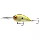 Daiwa Steez Crank 300F-DR
biwako lime 6.1cm 18.0g