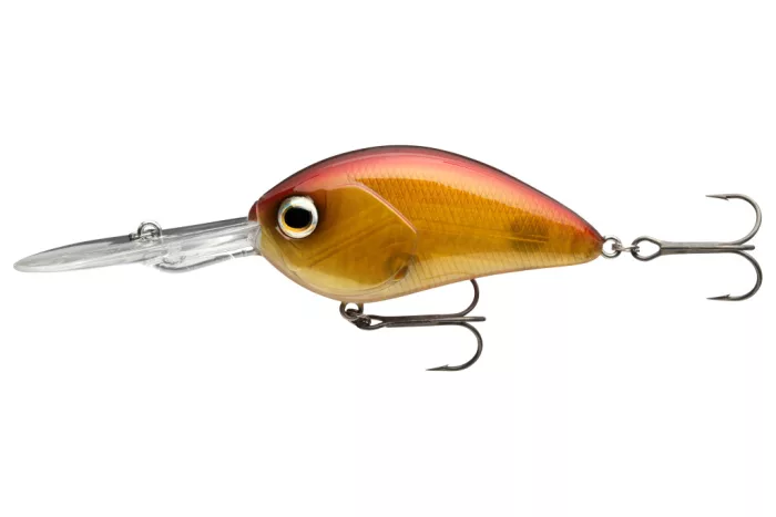 Daiwa Steez Crank 300F-DR
spawning ghost 6.1cm 18.0g