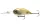 Daiwa Steez Crank 300F-DR
green muddy water special 6.1cm 18.0g