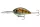 Daiwa Steez Crank 400F-DR
ghost baby gill 7.0cm 25.6g