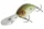 Daiwa Steez Crank 400F-DR
biwako lime 7.0cm 25.6g