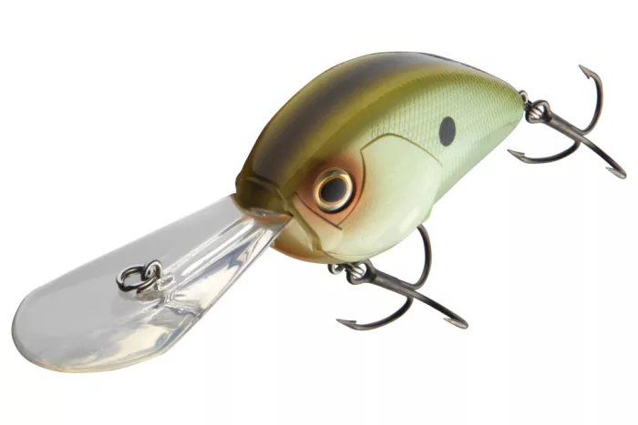 Daiwa Steez Crank 400F-DR
biwako lime 7.0cm 25.6g