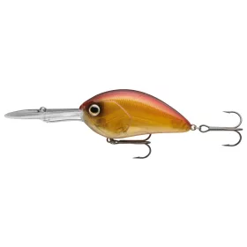 Daiwa Steez Crank 400F-DR
spawning ghost 7.0cm 25.6g
