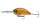 Daiwa Steez Crank 400F-DR
spawning ghost 7.0cm 25.6g