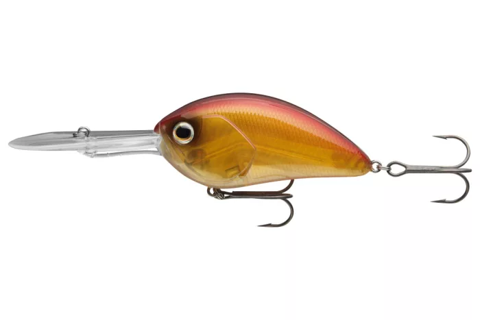 Daiwa Steez Crank 400F-DR
spawning ghost 7.0cm 25.6g