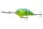 Daiwa Steez Crank 500F-DR
monster chart 7.0cm 27.8g