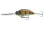 Daiwa Steez Crank 500F-DR
ghost baby gill 7.0cm 27.8g