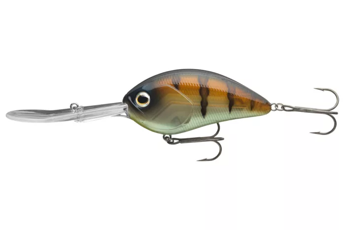 Daiwa Steez Crank 500F-DR
ghost baby gill 7.0cm 27.8g
