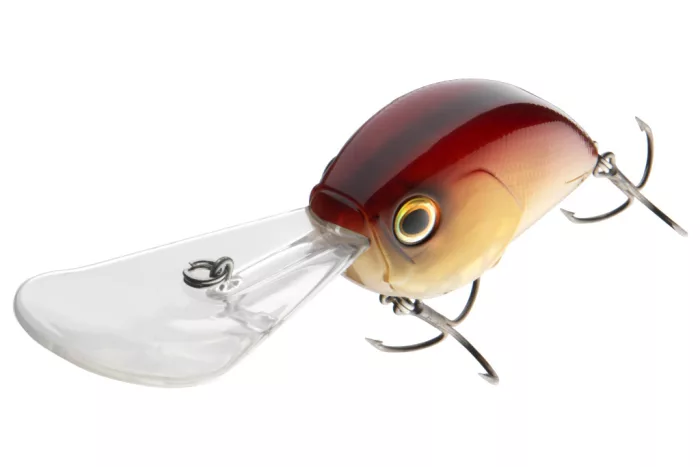 Daiwa Steez Crank 500F-DR
spawning ghost 7.0cm 27.8g