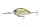 Daiwa Steez Crank 700
ghost ayu 9.0cm 55.2g 1db