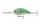 Daiwa Steez Crank 700
citrus shad 9.0cm 55.2g 1db