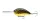 Daiwa Steez Crank 700
black gold 9.0cm 55.2g 1db