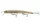 Daiwa HMKL Steez Custom 137SP
super wakasagi 13.7cm 16.1g