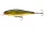 Daiwa Steez Pencil 60F
ghost ayu 6.0cm 4.2g