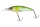 Daiwa Steez Shad 60SP-SR
natural pearl ayu 6.0cm 6.3g