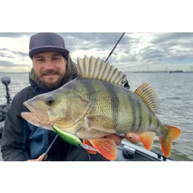 Daiwa Steez Shad 60SP-SR
akabane lime 6.0cm 6.3g
