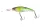 Daiwa Steez Shad 60SP-MR
natural pearl ayu 6.0cm 6.7g
